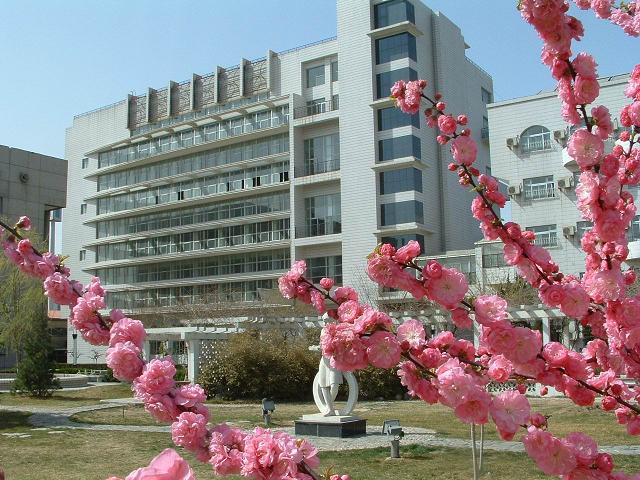 日女人网址